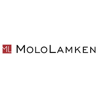 Sponsored briefing: Taking an important case to trial