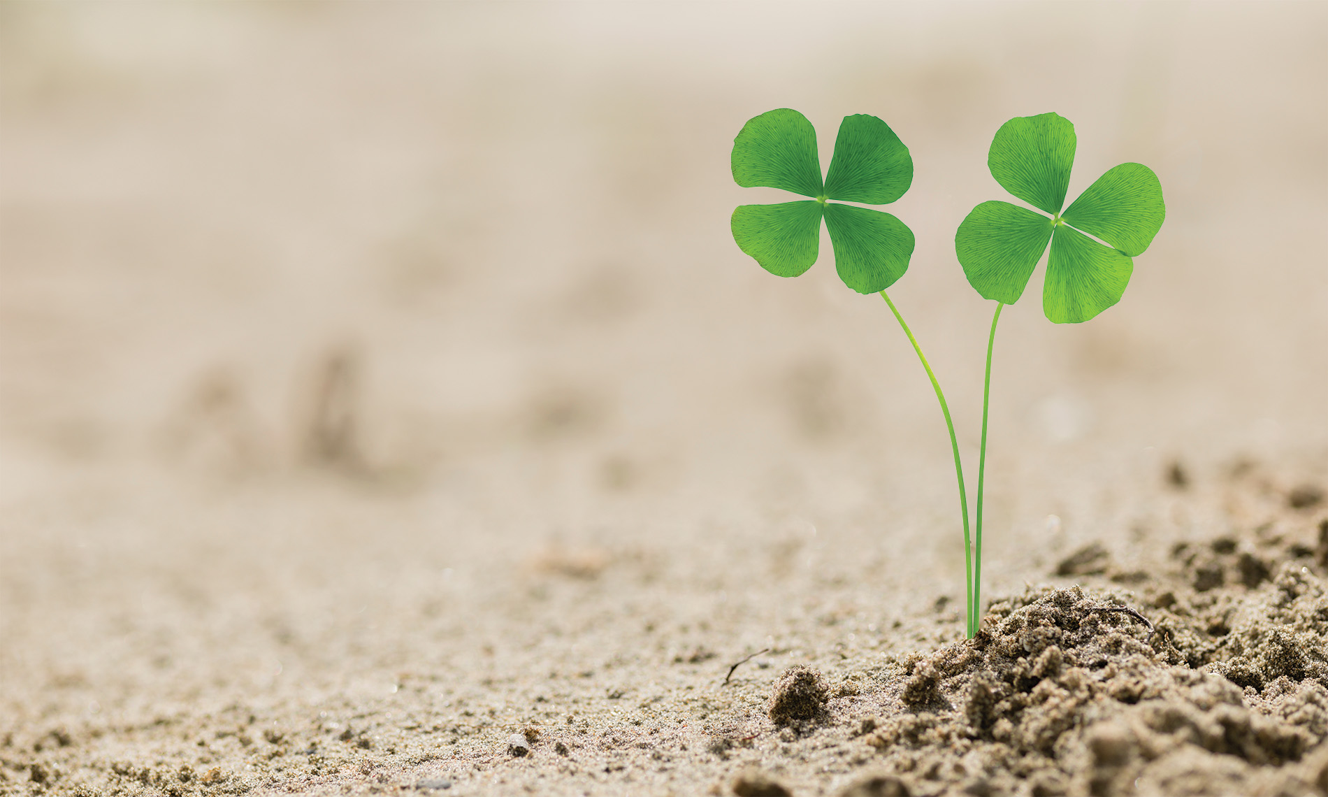Ireland: No luck required